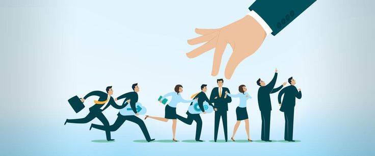 Saca provecho a las categorías profesionales