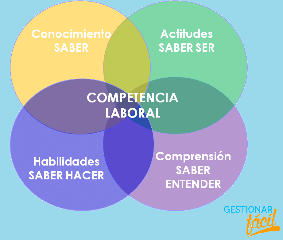 Desempeño laboral: ¿Qué evaluar y cómo hacerlo?