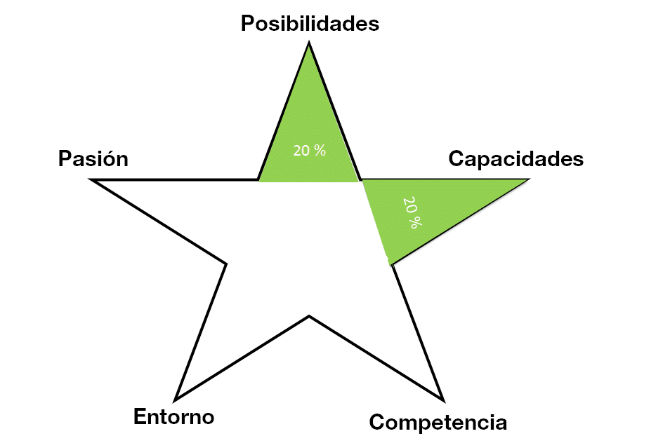 Los socios evaluaron la capacidad como excelente (¿Será un emprendimiento rentable?).