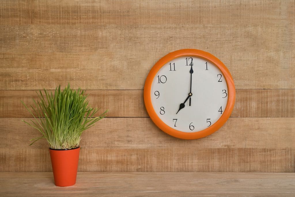 ¿Más horas de trabajo equivale a más productividad…?