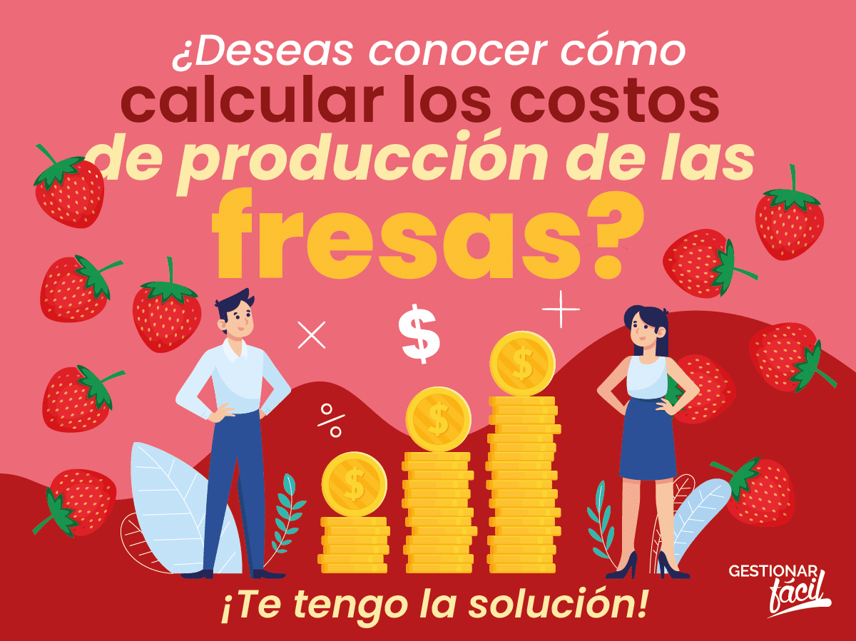 Costos de producción de las fresas ¿Cómo calcularlos?