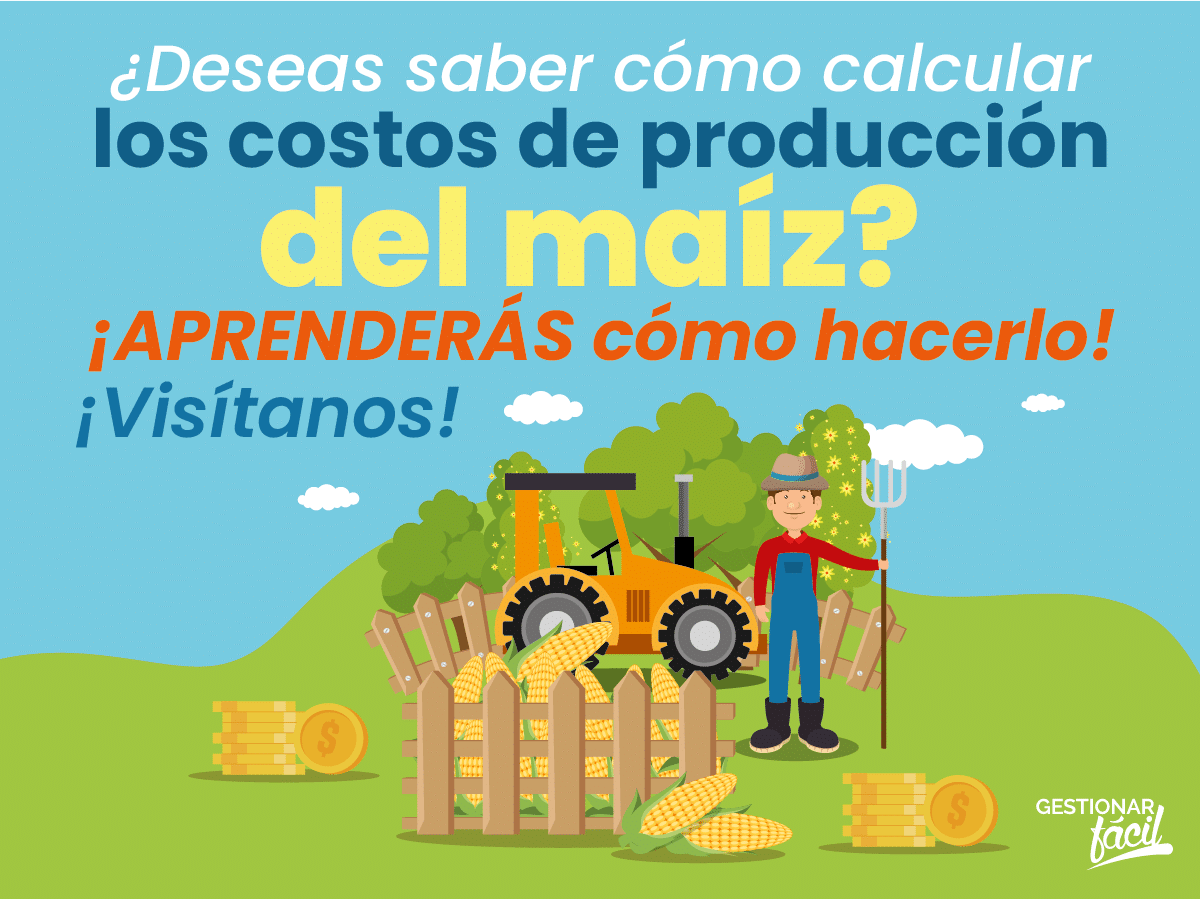 ¿Cómo calcular los costos de producción del maíz?