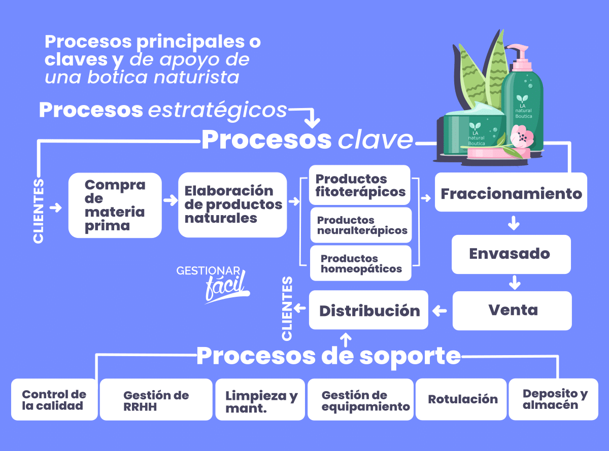 Ejemplo de procesos principales y de apoyo de una empresa de medicina natural