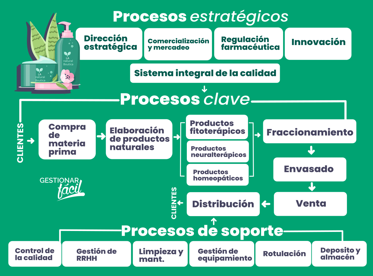 Procesos principales, de apoyo y estratégicos en una botica naturista