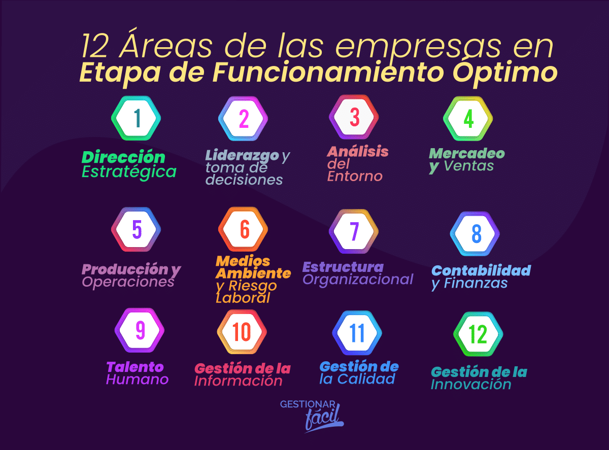 Modelo de 12 áreas funcionales en empresas maduras
