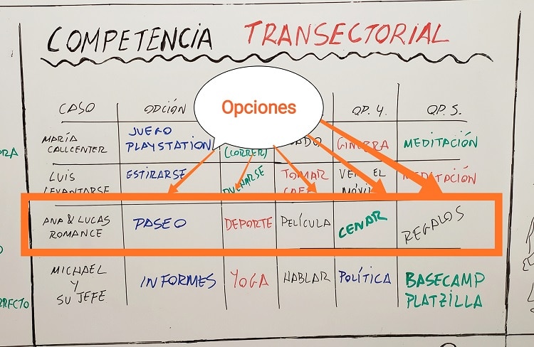 Competencia transectorial de Ana y Lucas.