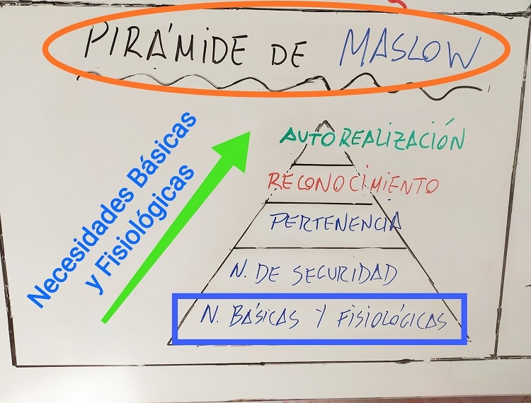 Necesidades de los clientes: básicas y fisiológicas. Pirámide Maslow en neuroventas