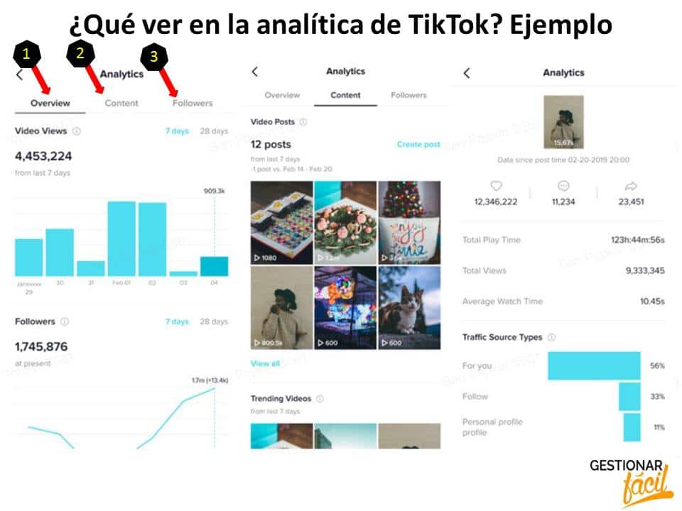 TikTok Analytics. Panel para el registro de métricas y KPI 0