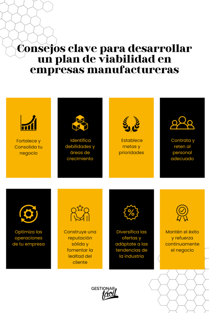 Consejos para un Plan de Viabilidad en empresas manufactureras